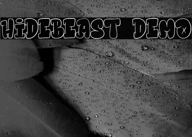 Hidebeast Demo Font examples