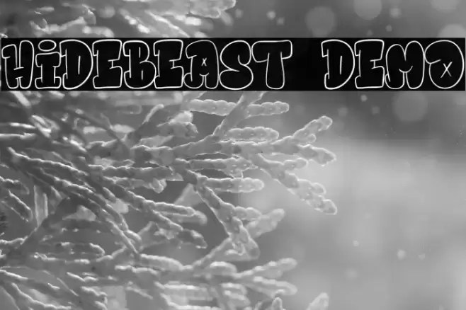 Hidebeast Demo Font examples