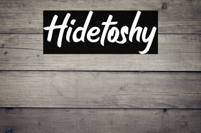 Hidetoshy Example 1