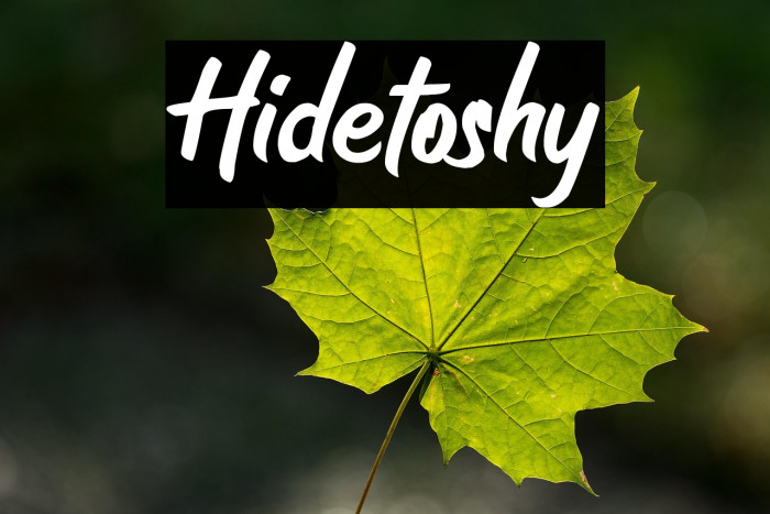 Hidetoshy Example 2