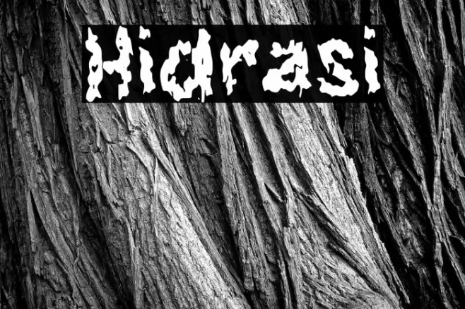 Hidrasi Font examples