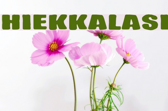 Hiekkalasi Font examples