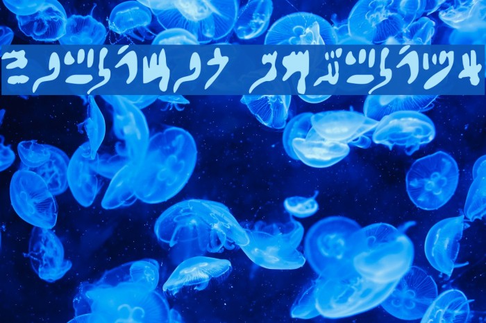 Hieratic Numerals Fonte examples