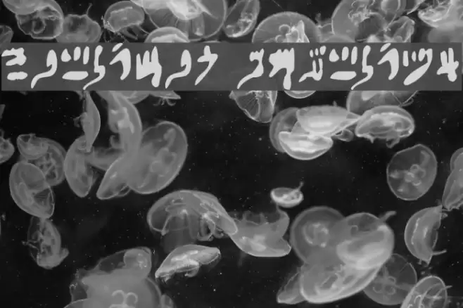 Hieratic Numerals Font examples