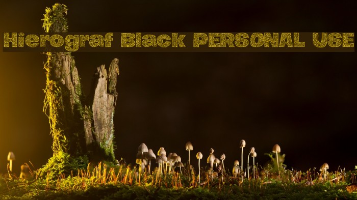 Hierograf Black PERSONAL USE Example 3