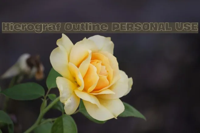 Hierograf Outline PERSONAL USE Example 1