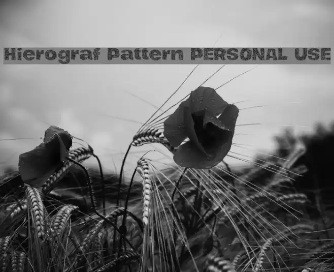 Hierograf Pattern PERSONAL USE Font examples