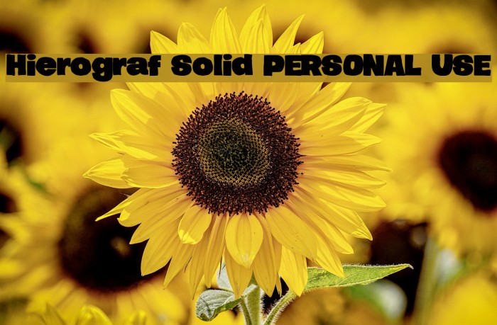 Hierograf Solid PERSONAL USE Font examples