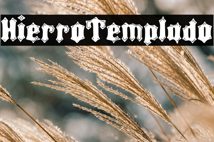 Hierro Templado Example 1