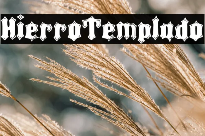 Hierro Templado Example 1
