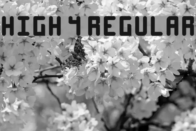 High 4 Regular Font examples