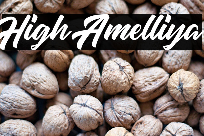 High Amelliya Example 1