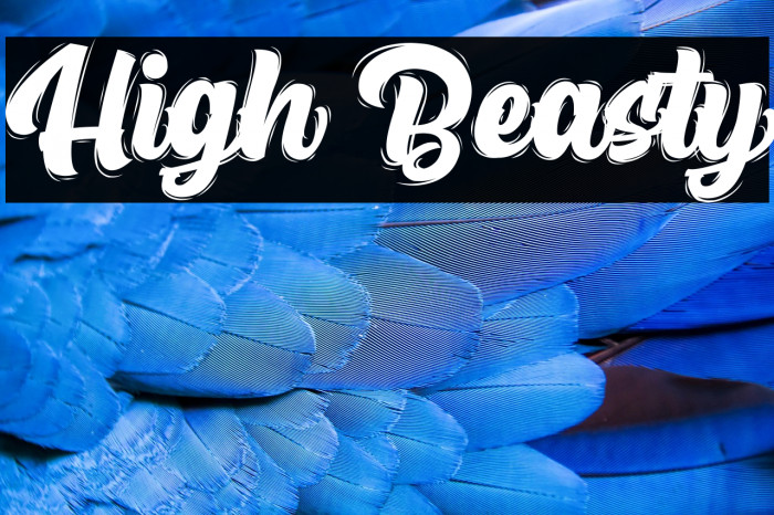 High Beasty Example 2