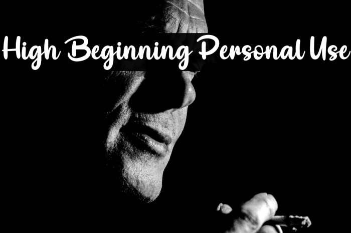 High Beginning Personal Use Example 3