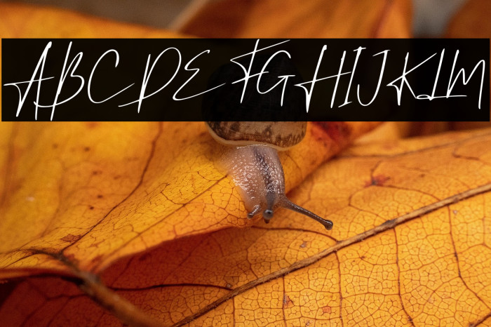 High Billion 2 Italic Example 3