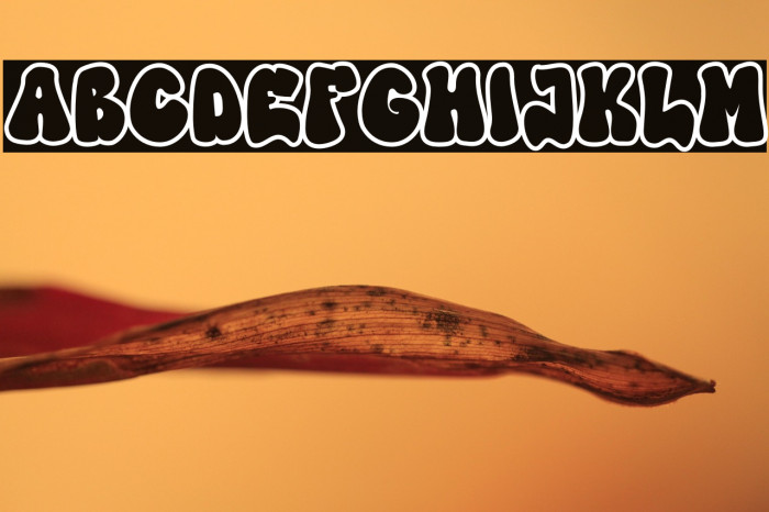 High Damage - Outline Example 3