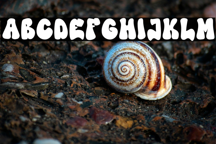 High Damage Example 1