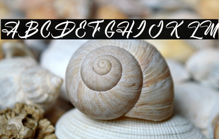 High Destiny - Personal Use Example 2