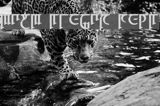 High Drowic Bold Font examples