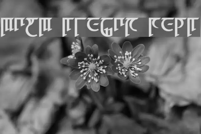 High Drowic Bold Font examples