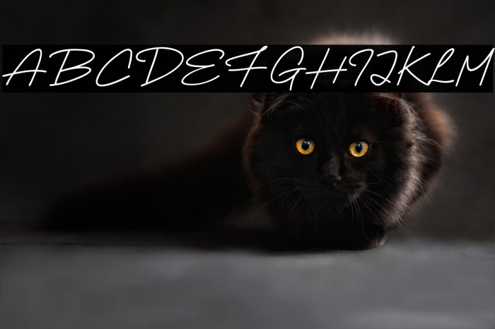 High Empathy Example 1