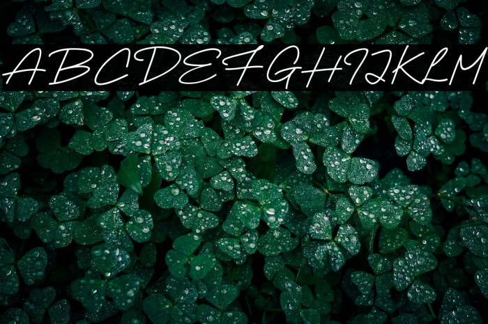 High Empathy Example 2