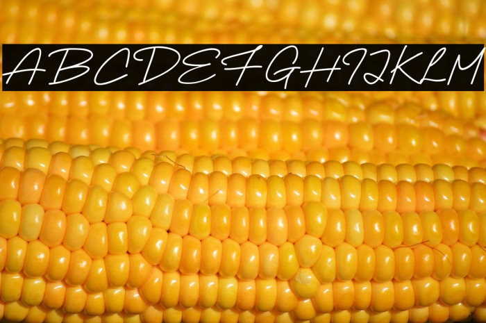 High Empathy Example 3