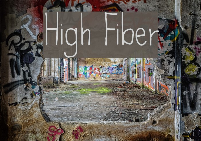 High Fiber Example 1