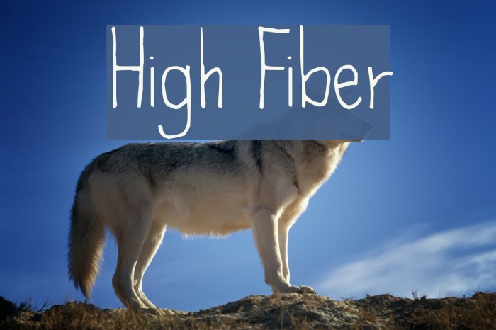 High Fiber Example 2