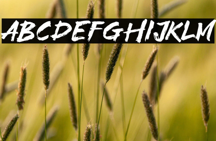 High Fighter Example 1