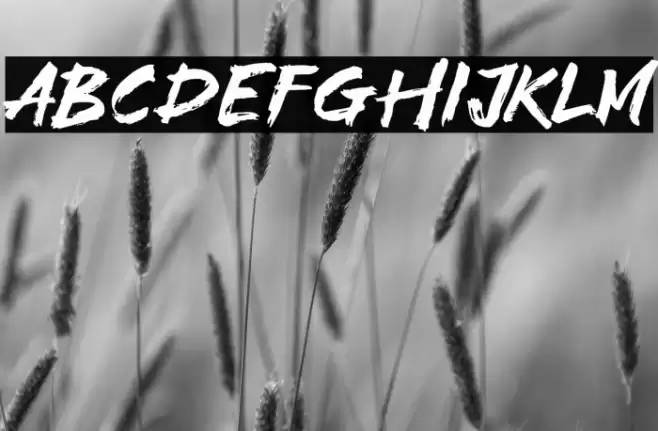 High Fighter خط examples