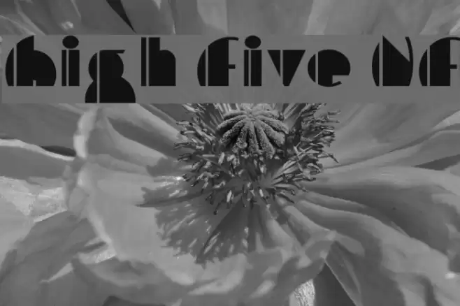 High Five NF Fuentes examples