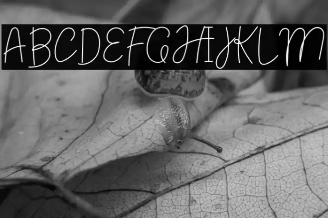 High Handmade Font examples