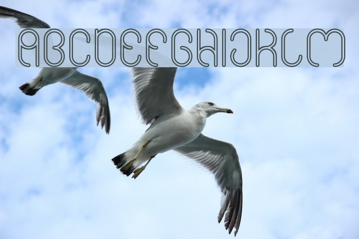 High In love-Hollow Example 1