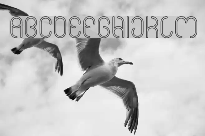 High In love-Hollow Font examples