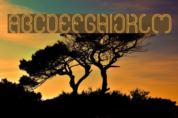 High In love-Hollow Example 2