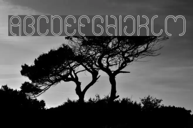 High In love-Hollow Font examples