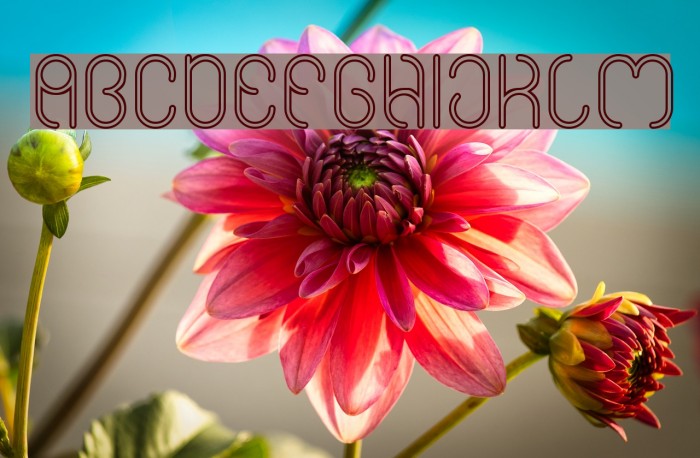 High In love-Hollow Example 3