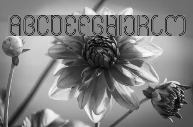 High In love-Hollow Font examples