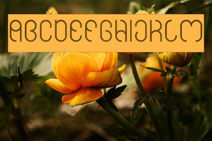 High In love-Inverse Font examples