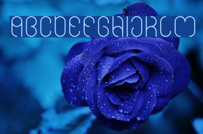 High In love-light Font examples