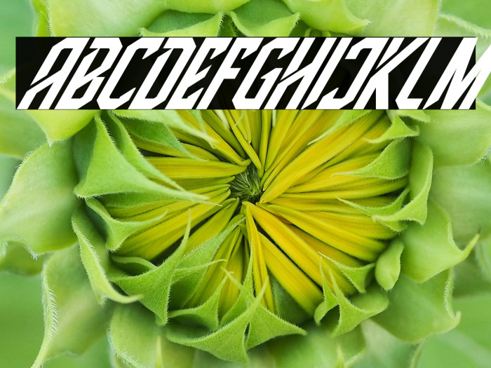 High Jersey Italic Example 2