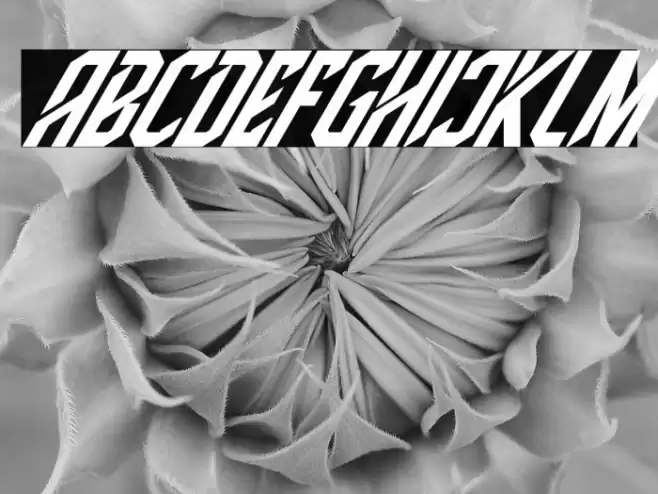 High Jersey Italic Font examples