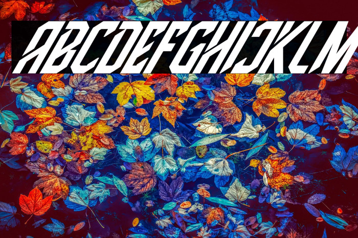 High Jersey Italic Example 3