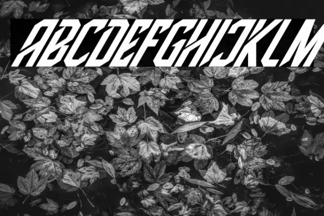 High Jersey Italic Font examples