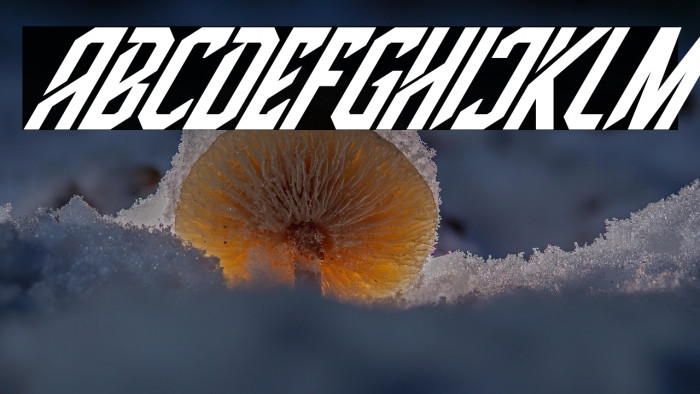 High Jersey Italic Example 2