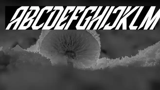 High Jersey Italic Font examples