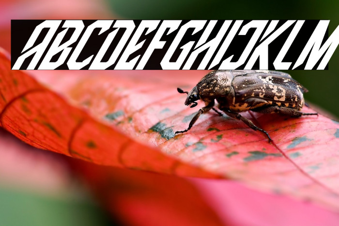 High Jersey Italic Example 3