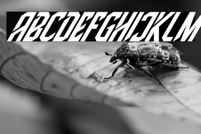 High Jersey Italic Font examples