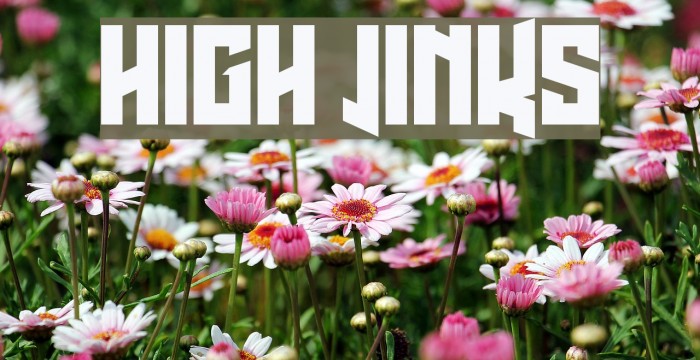 High Jinks Font examples